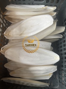 OEM TAKIMEX calidad superior blanco limpio hueso de sepia buena calidad mascota masticar juguetes importador loro - Product Image 3