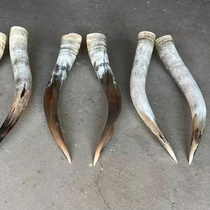 Par de Cuernos de Búfalo Pulidos para Decoración de Pared, Diseño Art Deco, Grandes de 27 a 35 Pulgadas, para Bodas, Cumpleaños, Aniversarios - Product Image 1