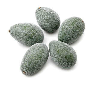 Aguacate Entero Congelado Maduro de Vietnam, Delicioso, de Primera Calidad, al Mejor Precio, Venta al Por Mayor - Product Image 1