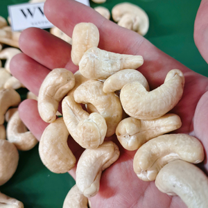 เมล็ดแคชูราคาสมเหตุสมผล ขายส่งจำนวนมาก นอยส์ เดอ คาจู เมล็ดมะม่วงหิมพานต์ ซานติโก ส่งออกไปยังตะวันออกกลาง - Product Image 1