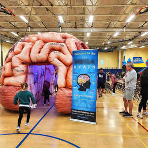 แบบจำลองสมองมนุษย์เป่าลมขนาดยักษ์สำหรับจัดแสดงเพื่อการศึกษาแบบอินเทอร์แอคทีฟ - Product Image 4