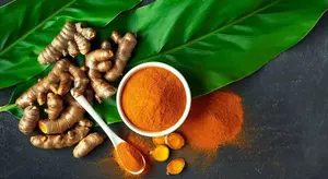 Extracto de Cúrcuma Silvestre en Polvo (Rizomas de Curcuma Longa) Grado Alimenticio y Grado Farmacéutico/Nutricional - Product Image 6