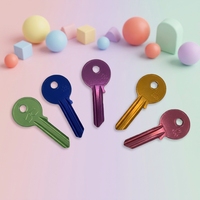 Clés vierges multicolores de marque EVERISE, personnalisables avec logo, tête ronde, non coupées, résistantes à l'eau, pour duplication de serrures résidentielles – Vente chaude