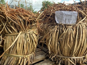 Vietnam Direct Factory Raw Water Hyacinth Natural Dried Fiber Material for Handicraft Weaving Furniture Decor Production - Product Image 6