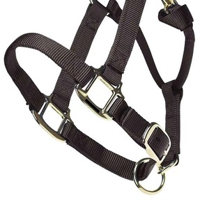 Elegante Brida para Caballo de Cuero Premium, Arnés Ajustable, Cómodo para Entrenamiento, Equipo Ecuestre Duradero - Product Image 2