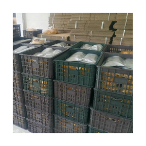 Mangues séchées les plus vendues pour la marque de détail, 100% naturelles, fruits purs, propres, sûres, prêtes à l'emploi, marque privée, équipement alimentaire S - Product Image 6