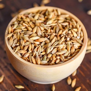 Alimento para animales de cebada para peces, ganado, caballos disponibles para la venta - Product Image 1
