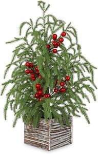 Décoration de Noël unique la plus vendue, conçue pour les réunions de famille, avec un style de table décoratif saisonnier - Product Image 3