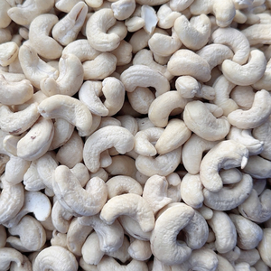 Nueces de Anacardo Crudas al por Mayor, Listas para Enviar, WW180, Núcleos de Anacardo, Origen Vietnam, MOQ Bajo - Product Image 1