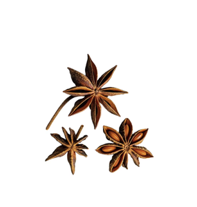 Fabricante de Vietnam ofrece al por mayor anís estrellado naturalmente seco de primera calidad en caja de 2 kg. - Product Image 4