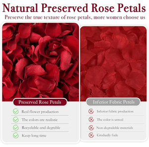 2026 Wholesale High Quality Pure Reasonable Price Customized Packing OEM Service <b>Dried</b> Double Rose <b>Petals</b> Red Rose <b>Petal</b> - Product Image 4