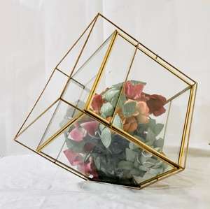 Maceta de Vidrio Pequeña para Suculentas, Plantas Aéreas y Musgo, Decoración Botánica para Hogar, Jardín, Oficina, Bodas, Regalo para Amantes de las Plantas - Product Image 2