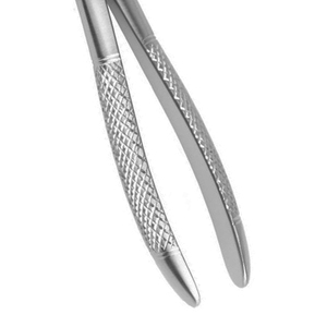 ARISTON INTERNATIONAL - Pinzas Dentales Pediátricas Manuales de Alta Calidad para Extracción con Excelente Fuente de Alimentación, en Venta - Product Image 3