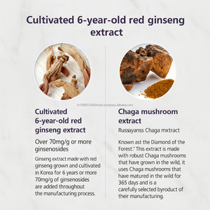 Bebida de raíz de hierbas coreana con extracto de ginseng y Doraji 30 bolsas líquidas para el bienestar - Product Image 4