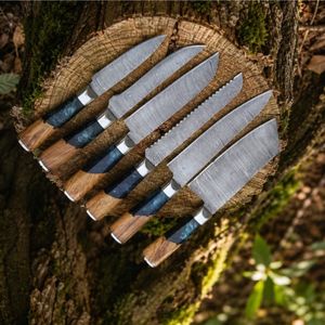 Ensemble de couteaux de cuisine de haute qualité avec lames tranchantes, design de poignée ergonomique pour les chefs professionnels, les cuisines domestiques et la préparation des aliments - Product Image 5