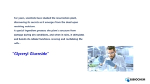 Glyceryl Glucoside và glycerin dưỡng da thành phần cho chống lão hóa và Aquaporin kích hoạt trong chăm sóc da sản xuất tại Hàn Quốc - Product Image 5