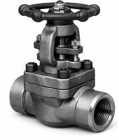 Vanne à soupape en acier forgé à froid, classe 800, extrémité filetée, haute pression, manuelle, haute température, vanne industrielle OEM