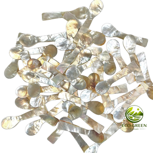 Cuchara de Concha Natural, Madreperla, Mini Cuchara Hecha a Mano de Lujo para Caviar Gourmet, Nido de Pájaro, Miel, Envases de Cosméticos y Belleza - Product Image 4