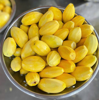 Vietnam Vacuüm Verpakte Zachte Gedroogde Mango Chips Zoete Smaak Natuurlijke Fruit Snacks Groothandel OEM Privé