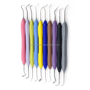 Medivolve 10Pcs Manual Reusable Silicone Handle Dental Composite Instruments Kit for Style CE ISO OEM ODM Wholesale Supplier - Product Image 6