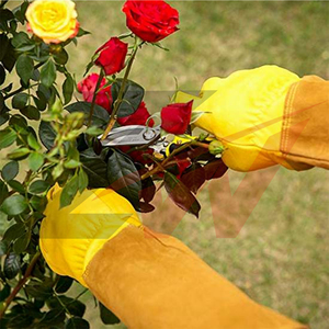 Custom Long Cuff <b>Gardening</b> <b>Gloves</b> Thorn Proof Rose Pruning <b>Gloves</b> Custom Logo <b>Ladies</b> <b>Gardening</b> <b>Gloves</b> Anti Slip Grip Fit Garden - Product Image 4