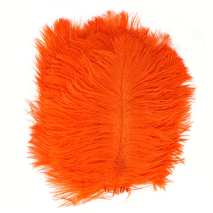 Plumes d'autruche fraîches en gros, qualité supérieure, stock pour commandes B2B de grande quantité - Product Image 1