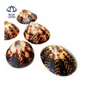 Coquille de limette très populaire, idéale pour la protection de la peau et le confort personnel, forme lisse et polie pour un contact doux - Product Image 1