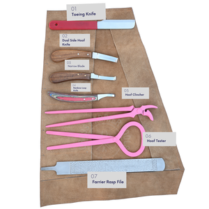 Kit d'outils professionnels pour fermeurs avec testeur de sabots, lime à sabots, couteau à pointe courbée, couteau à sabots, boucle à abcess, lame étroite - Product Image 4