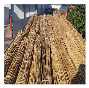 Matériaux en rotin vietnamien de qualité supérieure, cannes naturelles de différentes tailles pour la fabrication de meubles et de paniers - Product Image 1