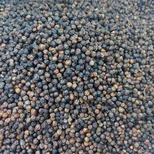 Extrait de Poivre Noir en Poudre Piper Nigrum 95% Pur Extrait Supercritique au CO2 Améliorateur de Biodisponibilité Stimulateur de Métabolisme Haute Efficacité - Product Image 2