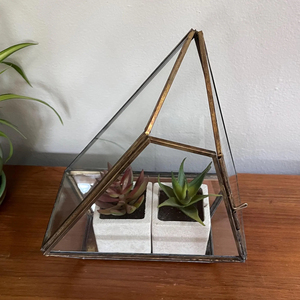 Small Golden Cube With Lid Glass Led Light Grow Terrarium for Plant Wedding Home Decoration Planter Crafts Flower Pots Terrarium - Product Image 2