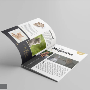 Magazines personnalisés imprimés sur papier couché, impression offset de qualité supérieure, reliure parfaite, piqûre à cheval, service d'impression OEM en gros - Product Image 6