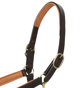 Harnais en corde de nylon rembourré plat de qualité supérieure avec boucles en acier inoxydable fantaisie, selle anglaise personnalisée pour cheval - Product Image 2