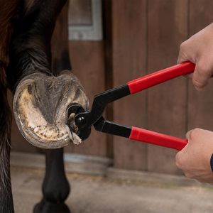 Alicates para Pezuñas de Caballo de 14 Pulgadas, Herramienta de Herrador de Acero con Alto Contenido de Carbono, Alicates Profesionales para Recortar Pezuñas - Product Image 2