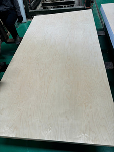 Contrachapado de Abedul Decorativo de Primera Calidad, de 13 Capas, Doble Cara, E0, para Decoración de Muebles, Núcleo de Goma Impermeable, para Exteriores - Product Image 1
