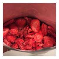 HOTSELLER 2026 Gedroogde Aardbeienplakjes voor Hiking Snacks Puur Tropisch Fruit Schoon Veilig Draagbare Fruitpakjes S S
