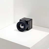 Module thermique Mini2 640 Caméra thermique infrarouge à port USB non refroidi avec objectif 25mm pour la détection longue distance du casque d'incendie