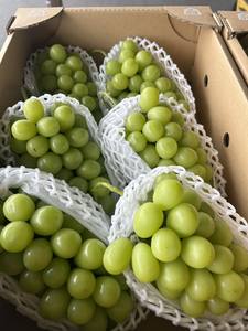 Uvas Frescas Sin Semillas de Primera Calidad, Variedad Japonesa Extensa, Rojas, Negras y Verdes - Product Image 2