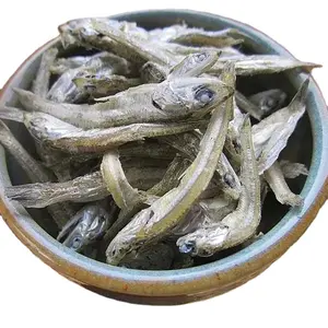 VIETNAMESE SUPPLIER SEAFOOD | DRIED ANCHOVY FISH UNDER SUN SOLAR BEST QUALITY