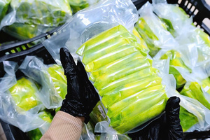 Aguacate Entero Congelado IQF, Proveedor a Granel de Vietnam Dak Lak, Ingrediente para Bebidas y Smoothies, Servicio de Alimentos, 24 Meses de Caducidad - Product Image 6