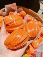 Indonesische Rode Jackfruit Van Vietnam/Iqf Frozen Proces Hoge Kwaliteit 100% Bevroren Fruit