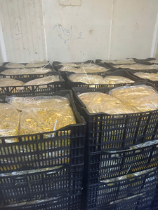 Pulpe de fruit de la passion IQF de qualité export du Vietnam – Goût frais, préservée, offres directes usine pour partenaires à long terme - Product Image 5