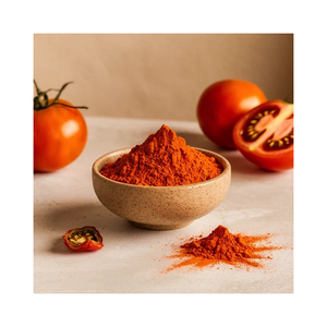 Poudre de tomate pure en vrac pour soupes instantanées, sauces et applications pour plats préparés - Product Image 3