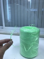 Ficelle en plastique polypropylène fibrillé (PP) haute résistance grande serre emballage presse à herbe ficelle reliure pour l'agriculture