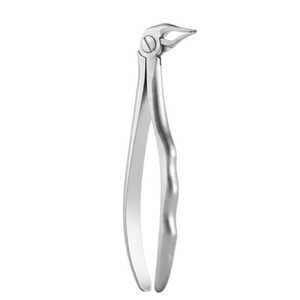 Forceps d'extraction dentaire manuels en acier inoxydable de qualité supérieure pour dents supérieures et inférieures, autoclavables ISO pour cliniques dentaires - Product Image 3