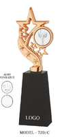 Trophée en métal moulé sous pression en forme d'étoile de qualité supérieure avec option de gravure et base en bois noir pour événements professionnels
