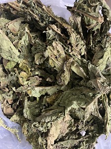 ใบมะละกอแห้งพรีเมียม คุณภาพดี อบแห้งอย่างสมบูรณ์แบบ เหมาะสำหรับชงชาและสกัด ช่วยเพิ่มรสชาติและเหมาะสำหรับการใช้ในชีวิตประจำวัน - Product Image 2