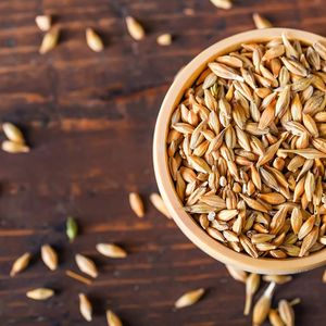 Trigo Duro Orgánico de Primera Calidad Certificado 2026, Grano Integral de Textura Dura para Alimentos, Precio Económico, Venta al Por Mayor - Product Image 6