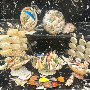Conchas marinas mixtas de Vietnam para manualidades caseras y para añadir elementos tropicales orgánicos a las mesas por 99 Gold Data Firm - Product Image 6