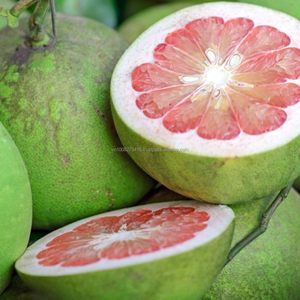 Proveedor de Pomelo Verde de Vietnam |   Pomelo Congelado IQF, Envasado al Vacío para Suministro al por Mayor a Compradores B2B Globales |   KMI - Product Image 1